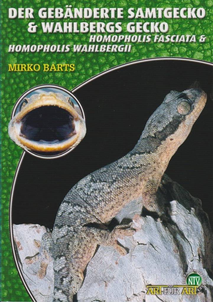 Der Gebänderte Samtgecko & Wahlbergs Gecko